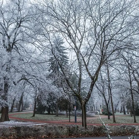 Апартаменты Villa Apartman *